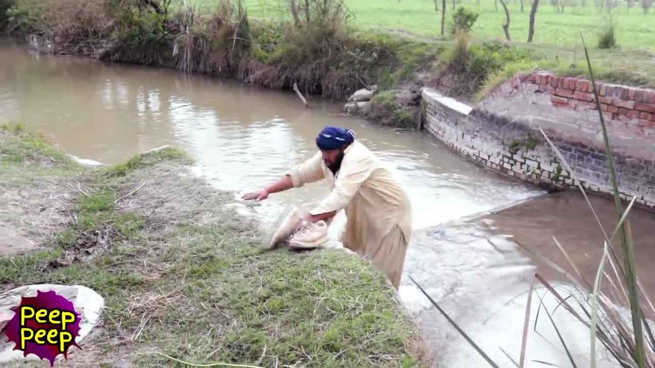 funny man VS WILD DOG