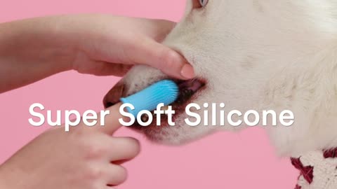 Best Dog/ Pet Toot Brush For Your Loving Pet