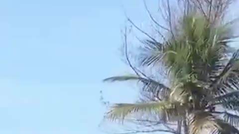 Real Ufo Sighting Brazil 🇧🇷 Rio De Janeiro
