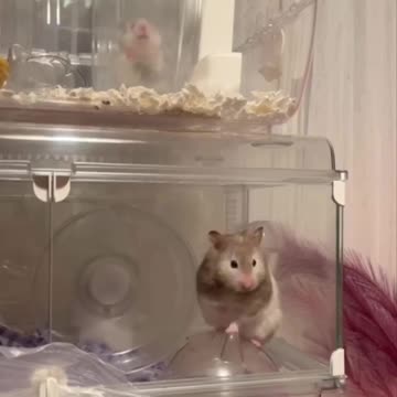 Neighbours we can relate to