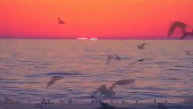 Alex Collier-These are Extraordinary Times