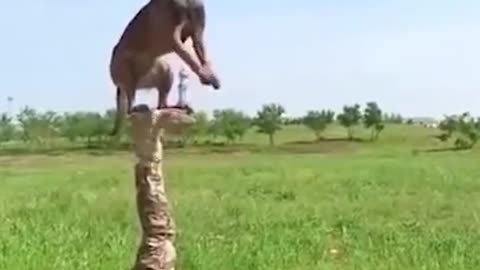 wow