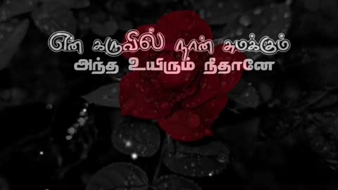 Status Video