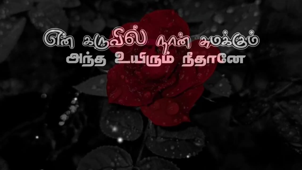 Status Video