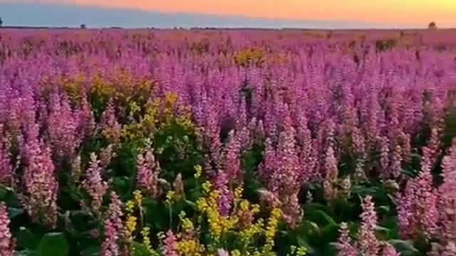 The scenery is the same, the mood to see the scenery never repeat.