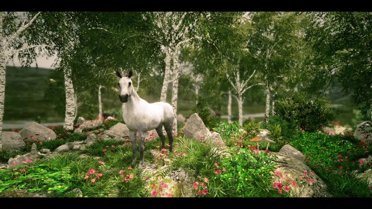 Horse | Beach | Forest | Animal | Free HD Videos - No Copyright footage