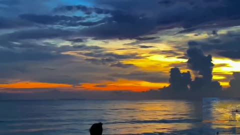 A life of longing for the sea