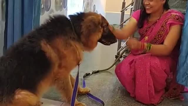 Dog training #2