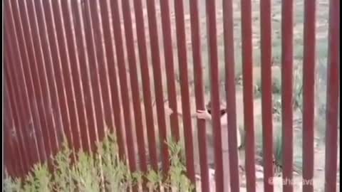 Man shows easy way to get over Mexican/Usa border!!