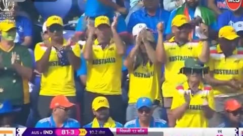 Cricket champions