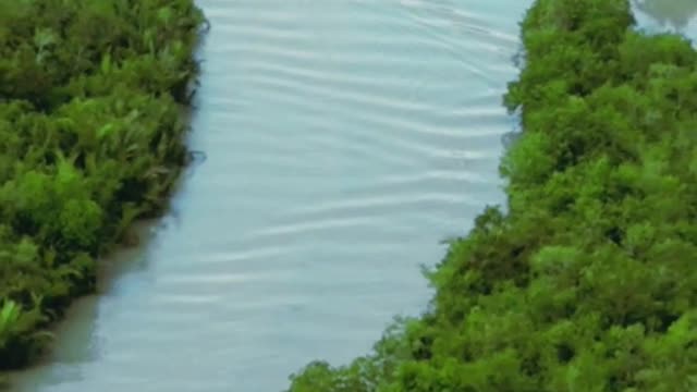 Beautiful Sundarban