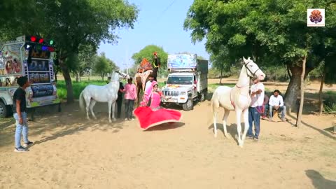 Meri adi ki thamak