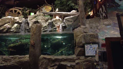 Aquarium At The Bass Pro Shop At Concord Mills At Night
