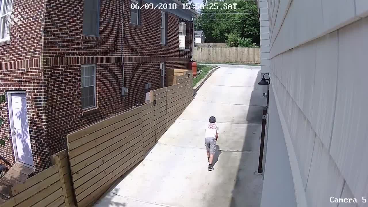 20 Hilarious Moments Caught on Camera