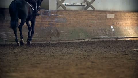 Slow Motion Horse Galloping in Riding Hall