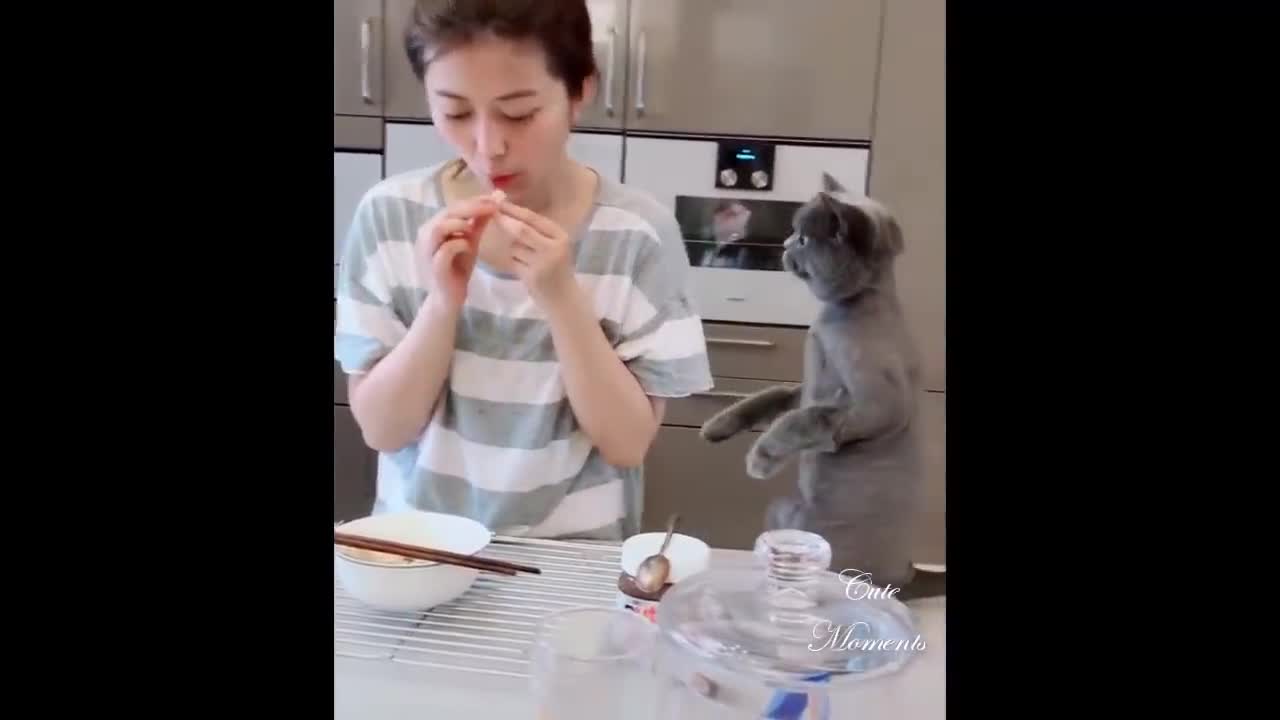 πCute And Funny Pets ππ Mascotas lindas y divertidas π 45
