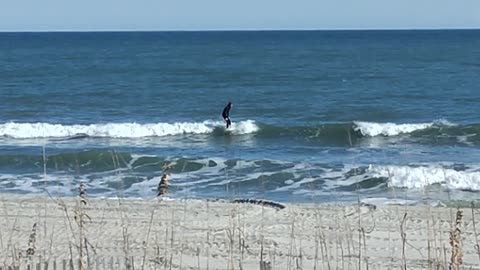 Surfing in the winter