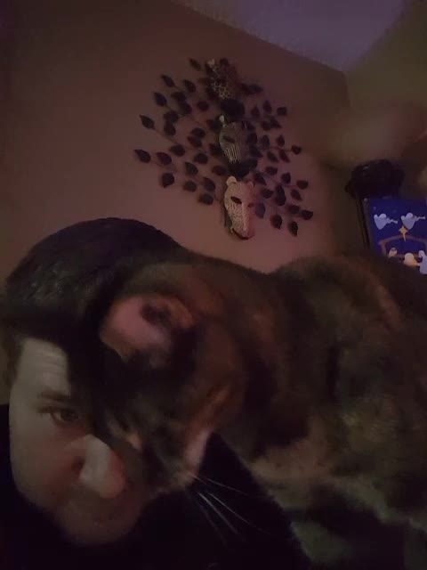 Copper Pets her human