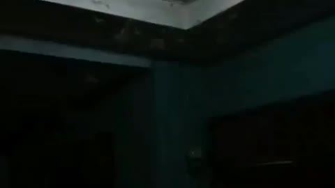 This is a beautiful and charming water-dwelling species