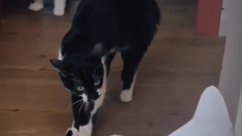 Funny part 3