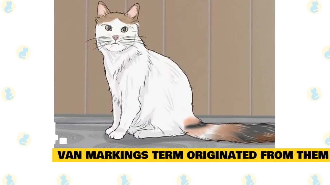 Thanks you for watching