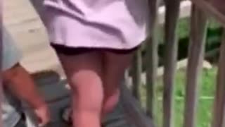 Mãe entrou com o filho no recinto dos jacarés para resgatar carteira