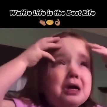 Waffle Life Is The Best Life