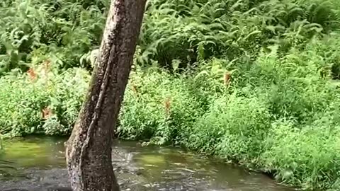 SURPRISE OF NATURE!