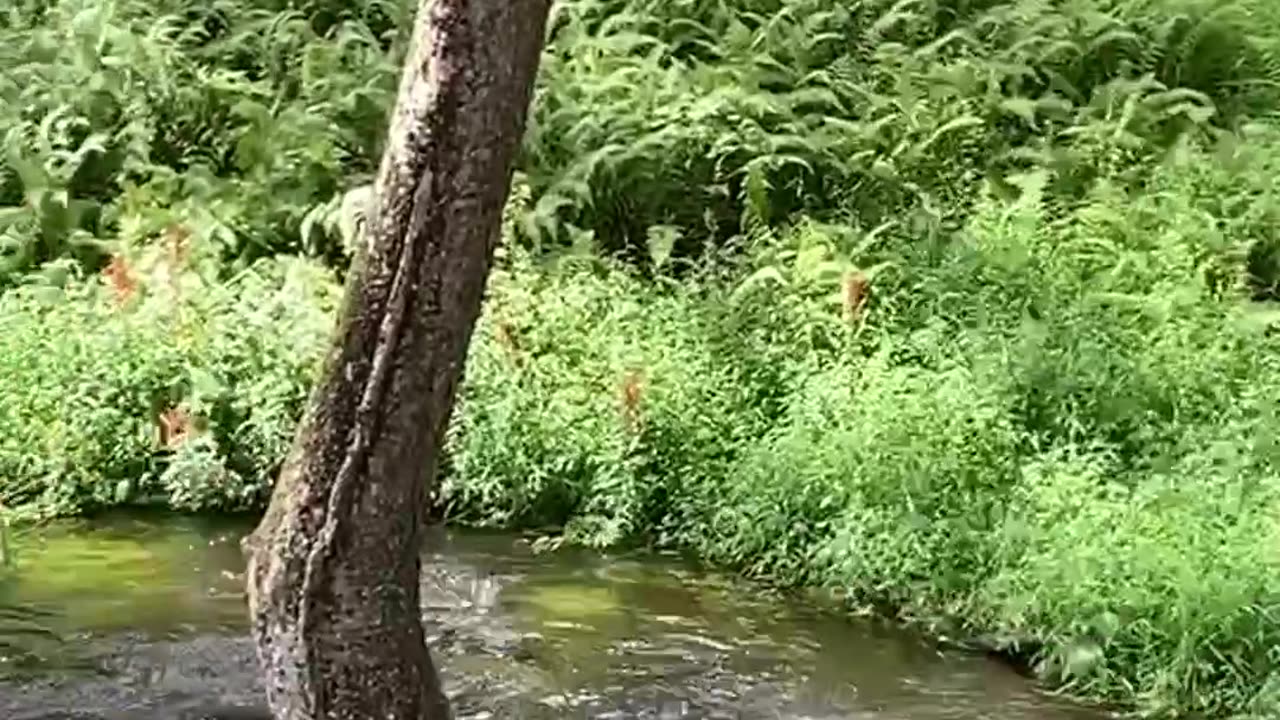 SURPRISE OF NATURE!