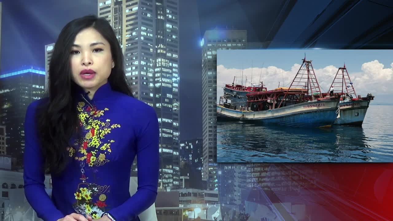TIẾNG NÓI CÔNG DÂN VN News 20 11 2020
