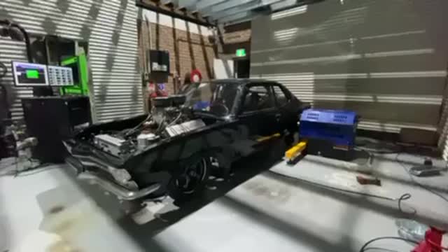 Marshmallow for campfire