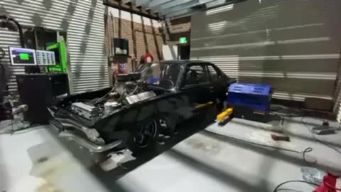 Marshmallow for campfire