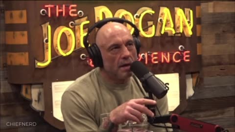 ‘Like the Right-Wing Avengers’: Joe Rogan on Trump’s Last UFC Entrance