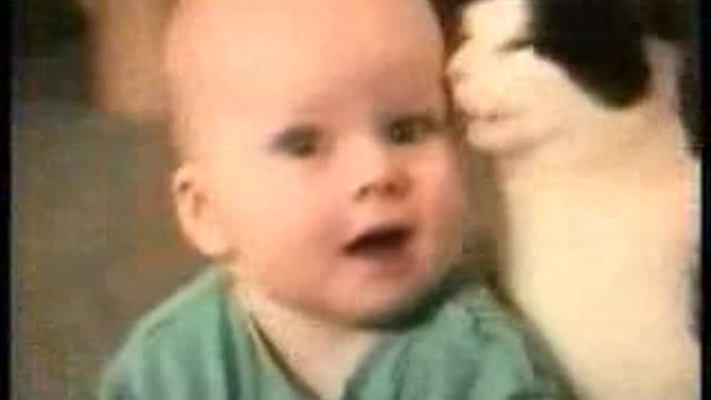 cute cats around the world (cute kittens) 2
