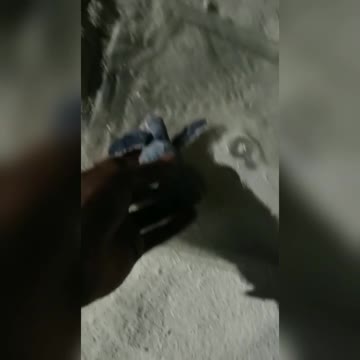 Who knows what kind of one this is?