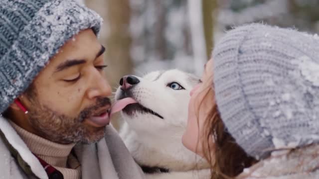 When did you kiss you pet together with your wife……watch this