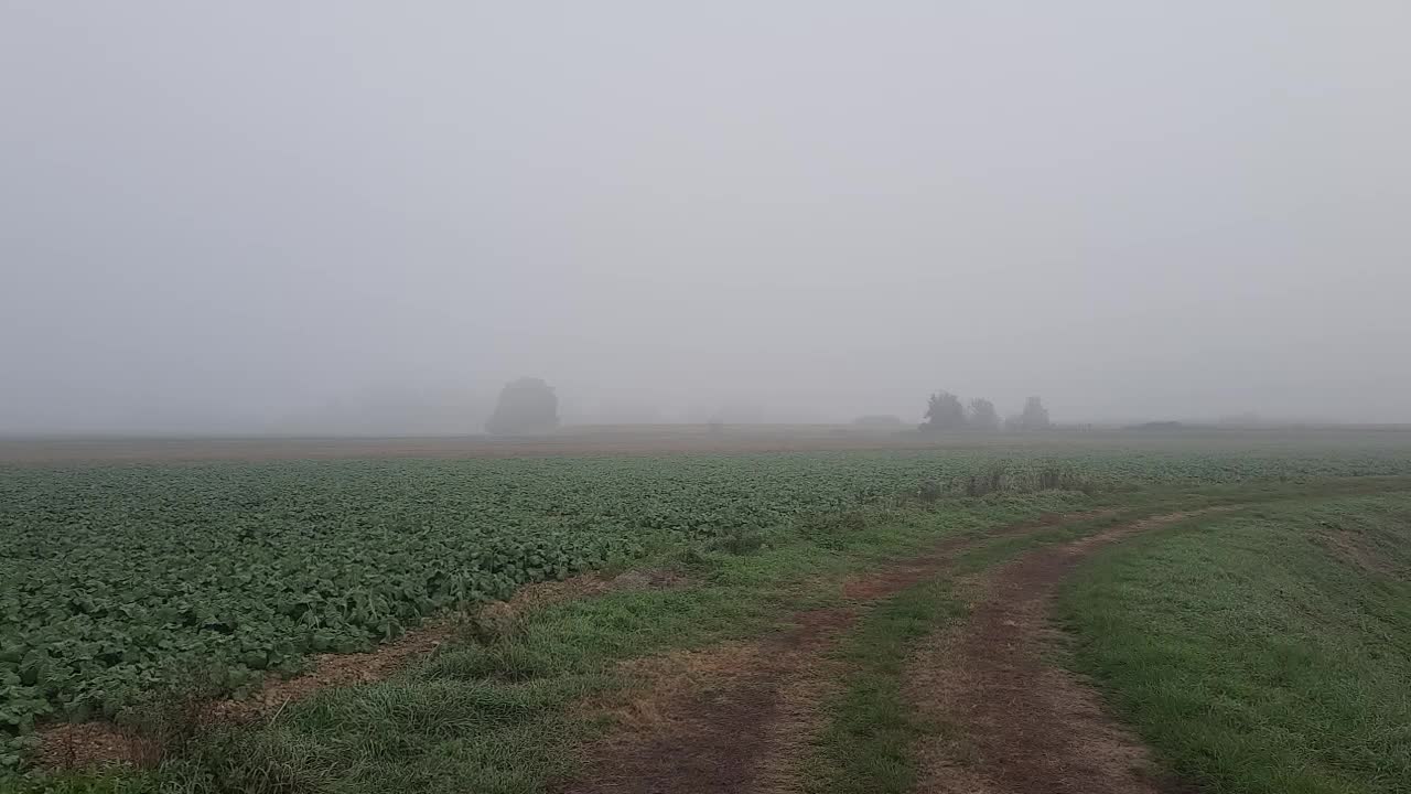 Stigla jesen