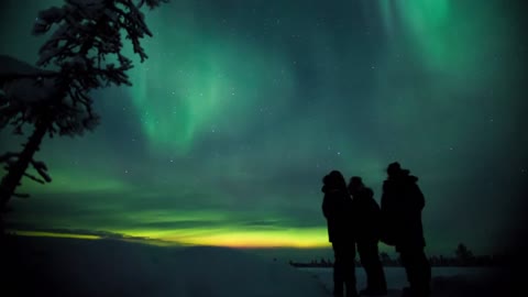 Husky Dog Sledding Overnight Tour with Northern Lights