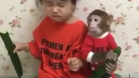 Kid playing with monkey