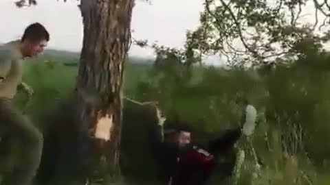 Black tracksuit kind tries climb down tree branch breaks falls