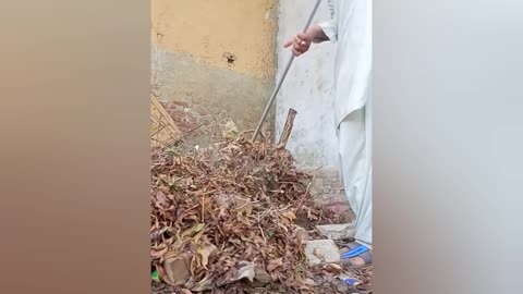 Cleaning My Garden After a long time💗