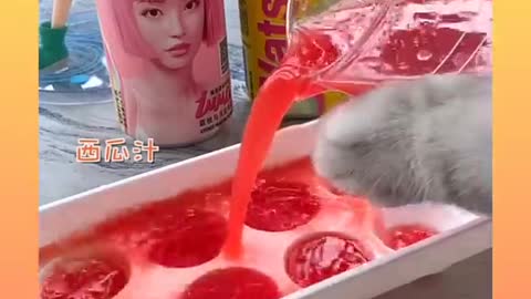 Cute cat cutting watermelon