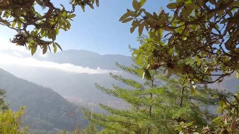History of Buddha in Bhutan | Kimpton's Bright Lights Travel Show