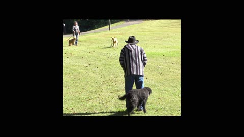 Molly Recall Clip 2024-10-12