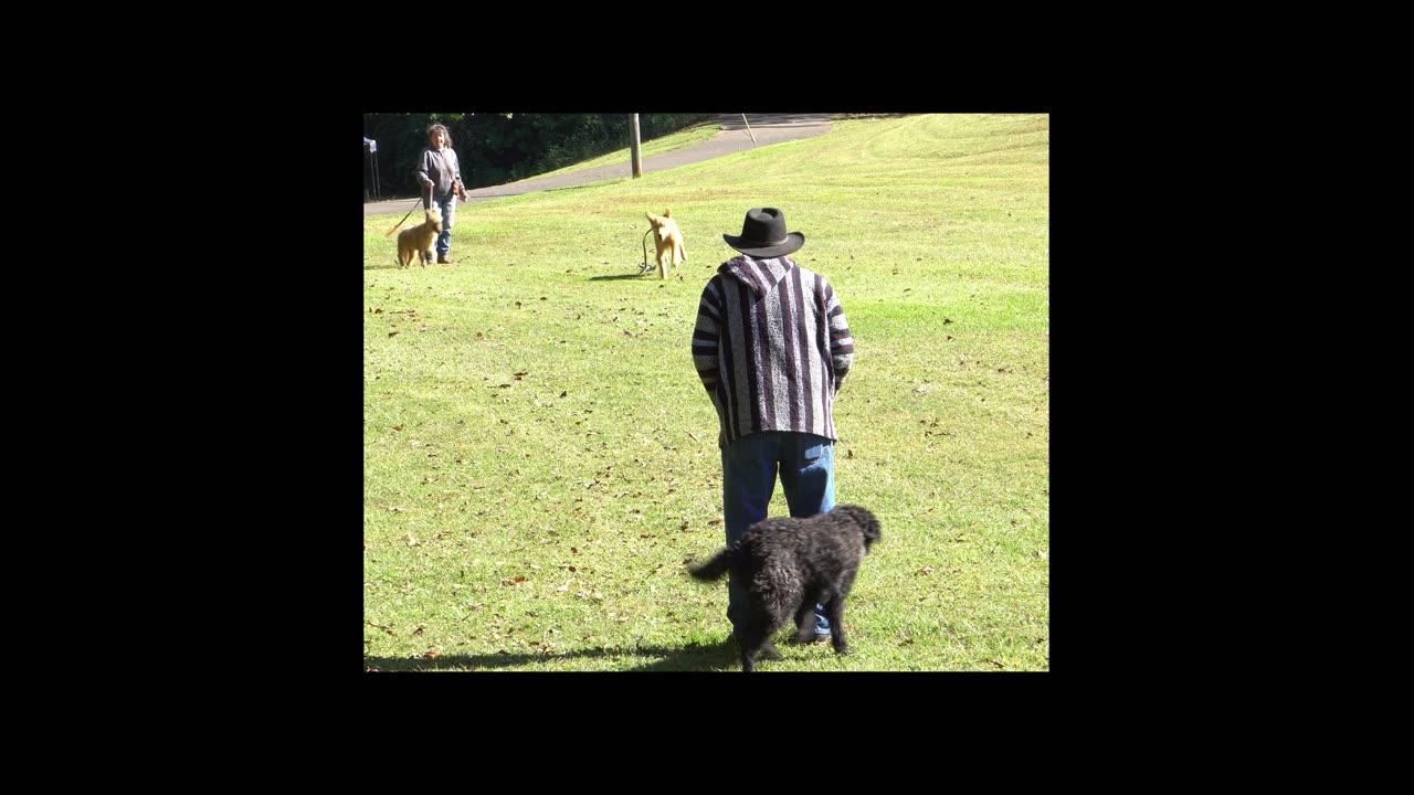 Molly Recall Clip 2024-10-12