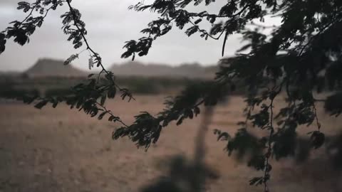 https://www.dailymotion.com/video/x8ieyhw