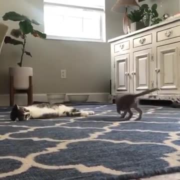 Today the video is different, look how she manipulated her little boy