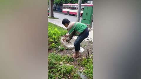 Hero Moto Rider Saves Kitten In Dirty Canal