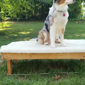 It's all in the game of Fetch part 2 clip 4