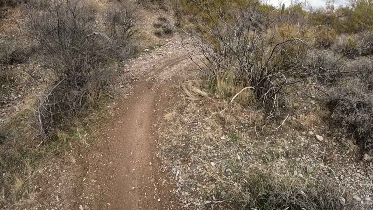 Slow twisty motorcycle single track